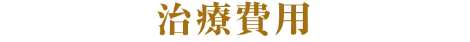 治療費用