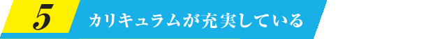 カリキュラムが充実している