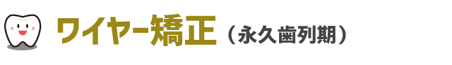 ワイヤー矯正（永久歯列期）